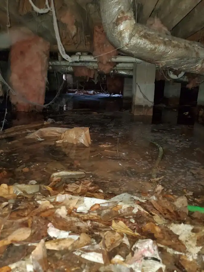 Crawl space flood assessment for Commercial Water Damage Restoration in Ridgecrest